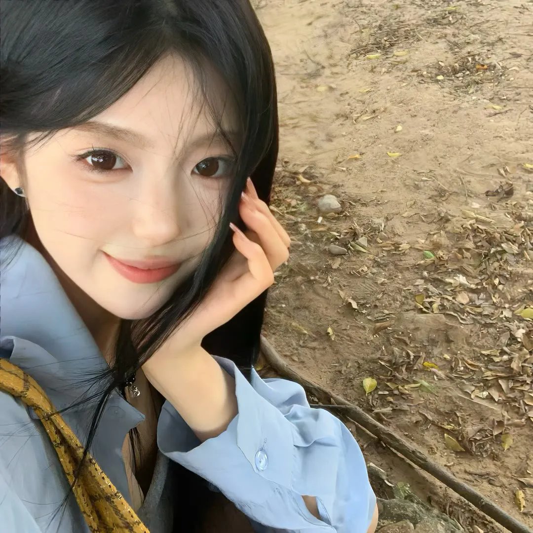 蒂科与鲨鱼